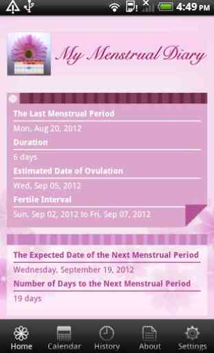 My Menstrual Diary 3