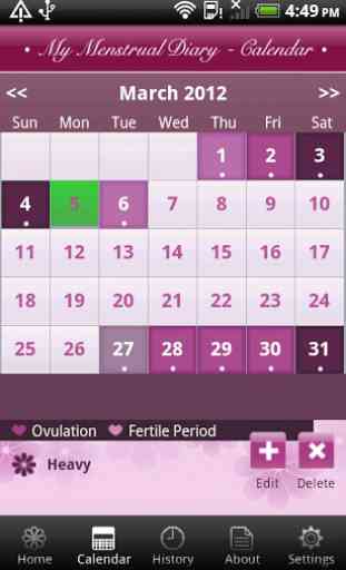 My Menstrual Diary 4