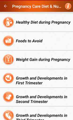 Pregnancy Care Diet Nutrition 2
