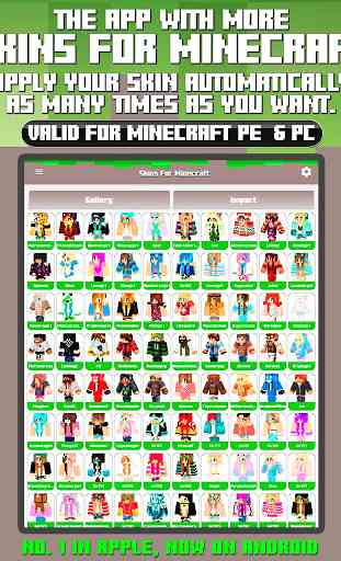 Skins for Minecraft PE & PC 3