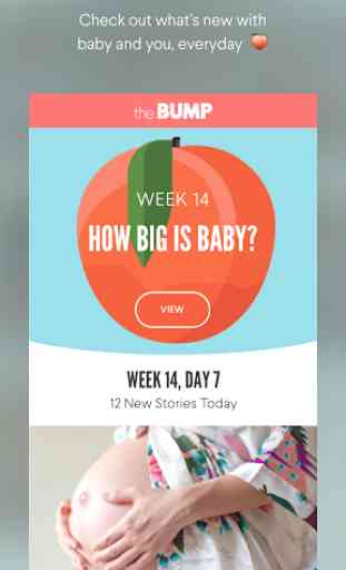 The Bump Pregnancy Tracker 1