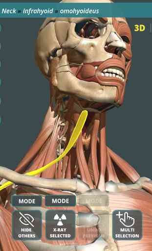 Visual Anatomy 3D | Human 2