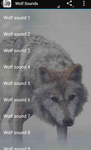 Wolf Sounds 1