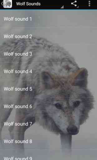 Wolf Sounds 2