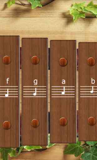 Wood Xylophone 3