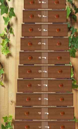 Wood Xylophone 4