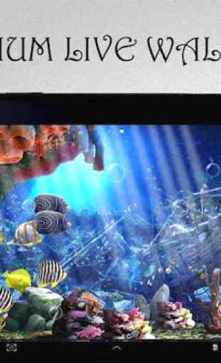3D Aquarium Live Wallpaper 4