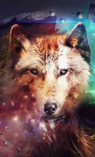 5D Wolf 1