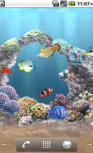 aniPet Aquarium Live Wallpaper 4