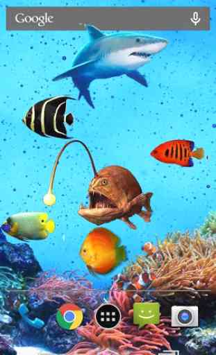 Aquarium Live Wallpaper HD 4