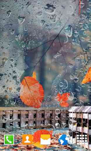 Autumn Forest Live Wallpaper 4