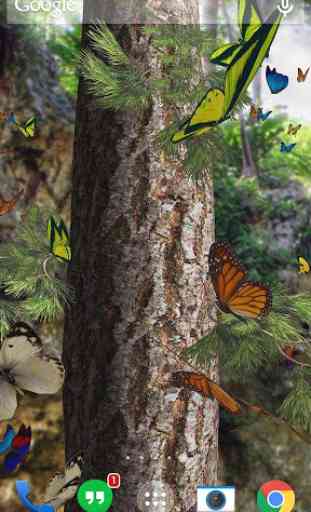 Butterflies 3D live wallpaper 1