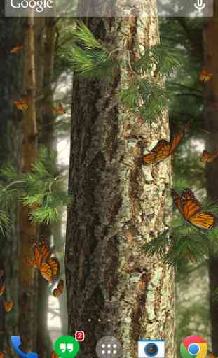 Butterflies 3D live wallpaper 3