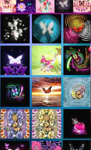 Butterfly Fashion Wallpapers 3