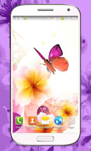 Butterfly Live Wallpaper HD 3