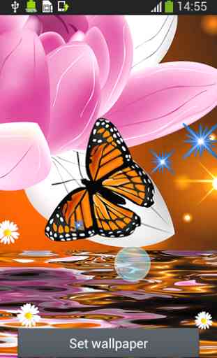 Butterfly Live Wallpapers 4