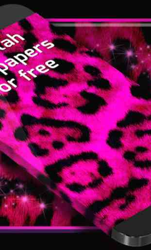 Cheetah Wallpapers for Free 3