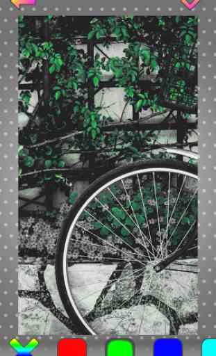 Color Touch Effects Photo Edit 4