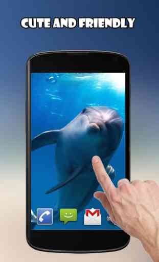 Dolphins Live Wallpaper 2