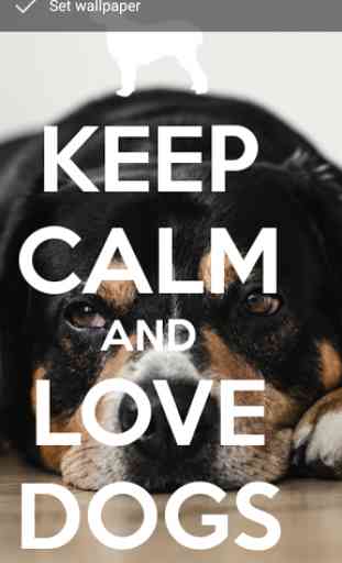 Keep Calm Love Dogs Wallpapers 2