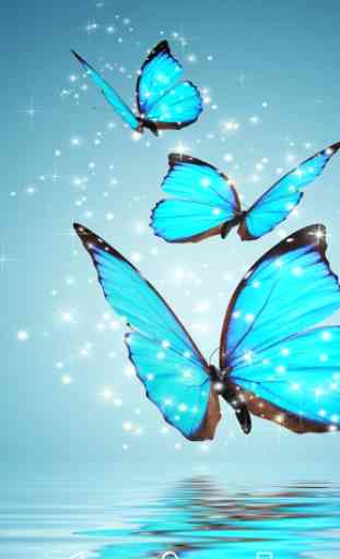 Magic Touch: Butterflies 3