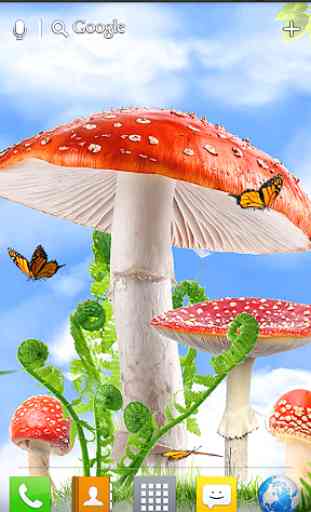 Mushroom HD Live Wallpaper 2