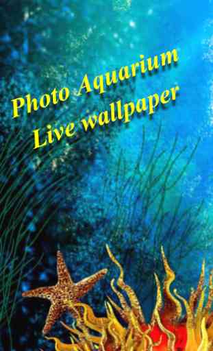 Photo Aquarium Live Wallpaper 1