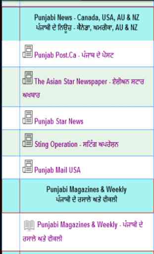 Punjabi News 4