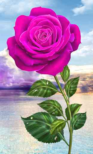Rose. Magic Touch Flowers 4