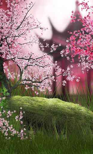 Sakura Live Wallpaper 1