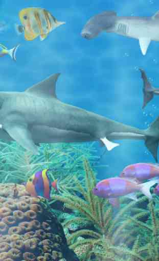 Shark aquarium live wallpaper 1