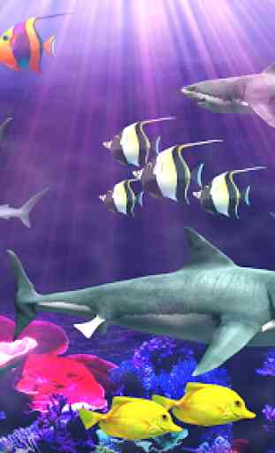 Shark aquarium live wallpaper 2