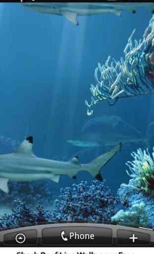 Shark Reef Live Wallpaper Free 1