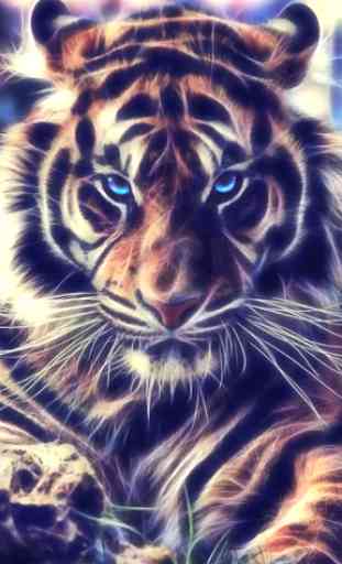 Tiger, live wallpaper 1