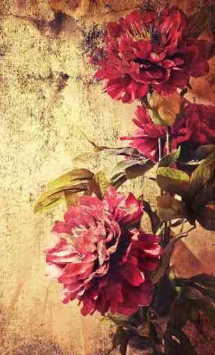 Vintage Roses Live Wallpaper 3