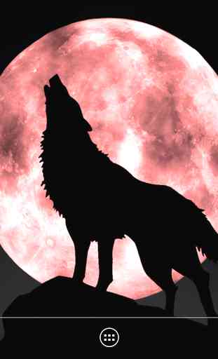 Wolf Live Wallpaper 3