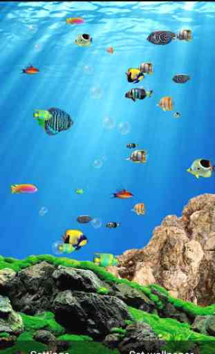 Aquarium Live Wallpaper Free 2