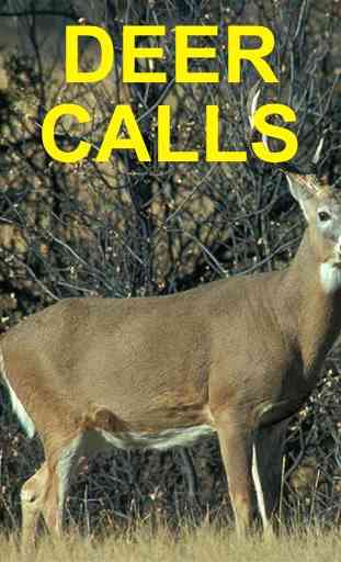 Deer Calls for Deer Hunting 1