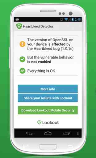 Heartbleed Security Scanner 2