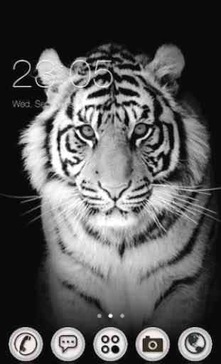 White Tiger Theme 1