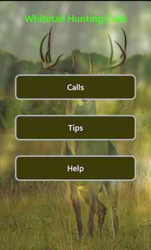 Whitetail Deer Calls 1