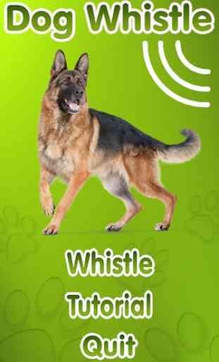 Dog Whistle, Trainer 2016 1
