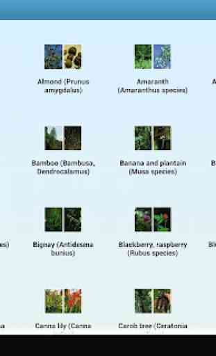 Edible and Medicinal Plants 1
