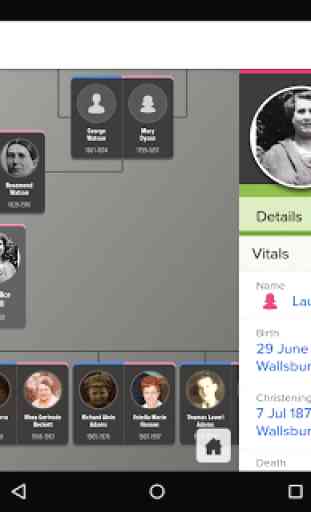FamilySearch Tree 1