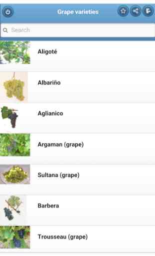 Grape varieties 1