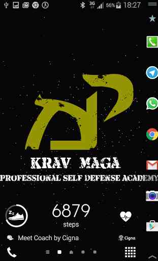 Krav Maga Live Wallpaper Free 3