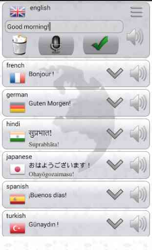 Q Multi Language Translator 2
