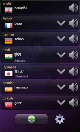 Q Multi Language Translator 3