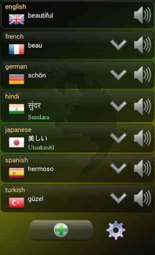 Q Multi Language Translator 4