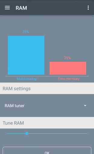 RAM Manager Pro 4